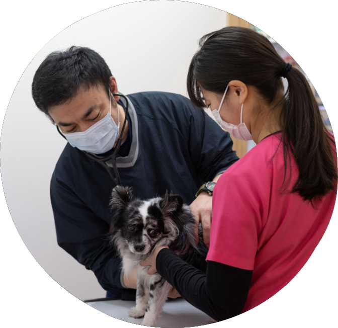 Ikebukuro animal hospital