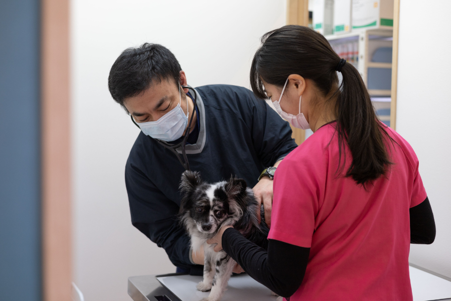 いけぶくろ動物病院