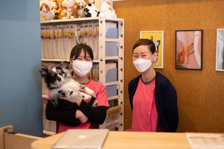 いけぶくろ動物病院